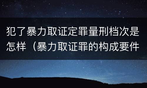 犯了暴力取证定罪量刑档次是怎样（暴力取证罪的构成要件）