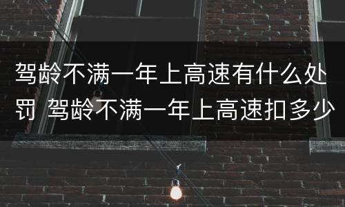 驾龄不满一年上高速有什么处罚 驾龄不满一年上高速扣多少分