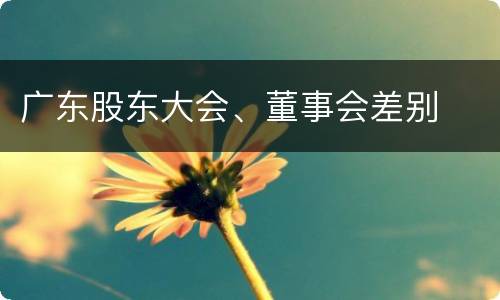 广东股东大会、董事会差别