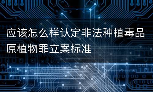 应该怎么样认定非法种植毒品原植物罪立案标准