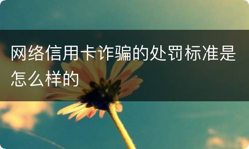 网络信用卡诈骗的处罚标准是怎么样的