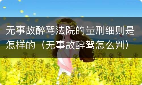 无事故醉驾法院的量刑细则是怎样的（无事故醉驾怎么判）