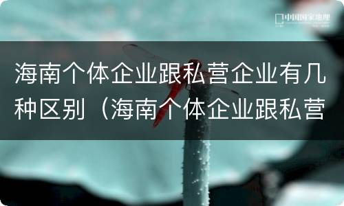 海南个体企业跟私营企业有几种区别（海南个体企业跟私营企业有几种区别是什么）