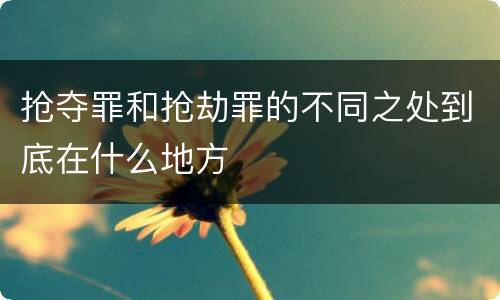 抢夺罪和抢劫罪的不同之处到底在什么地方