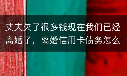 丈夫欠了很多钱现在我们已经离婚了，离婚信用卡债务怎么办