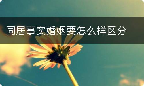 同居事实婚姻要怎么样区分