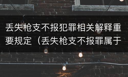 丢失枪支不报犯罪相关解释重要规定（丢失枪支不报罪属于）