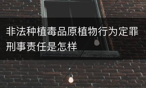 非法种植毒品原植物行为定罪刑事责任是怎样