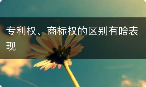 专利权、商标权的区别有啥表现