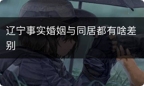 辽宁事实婚姻与同居都有啥差别