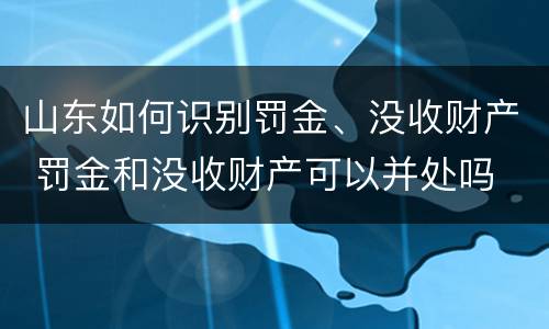 山东如何识别罚金、没收财产 罚金和没收财产可以并处吗
