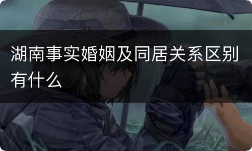 湖南事实婚姻及同居关系区别有什么