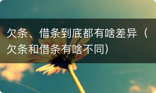 欠条、借条到底都有啥差异（欠条和借条有啥不同）