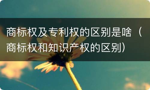 商标权及专利权的区别是啥（商标权和知识产权的区别）