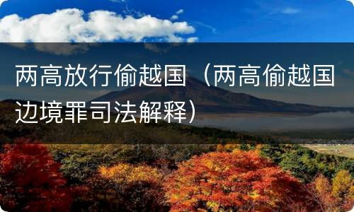 两高放行偷越国（两高偷越国边境罪司法解释）