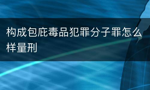 构成包庇毒品犯罪分子罪怎么样量刑