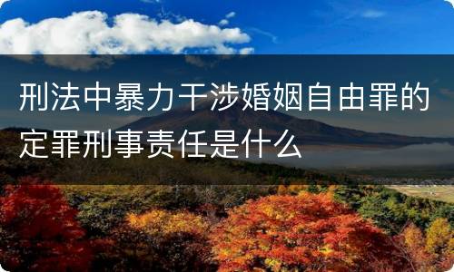 刑法中暴力干涉婚姻自由罪的定罪刑事责任是什么