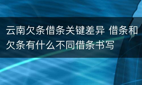 云南欠条借条关键差异 借条和欠条有什么不同借条书写
