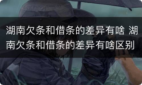 湖南欠条和借条的差异有啥 湖南欠条和借条的差异有啥区别