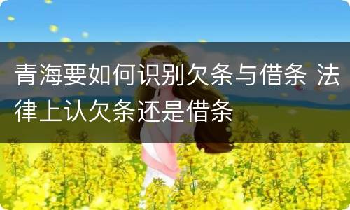 青海要如何识别欠条与借条 法律上认欠条还是借条