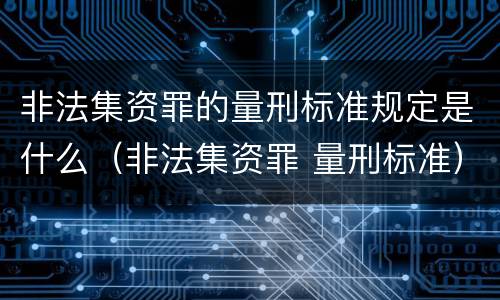 非法集资罪的量刑标准规定是什么（非法集资罪 量刑标准）