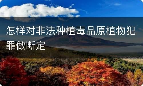 怎样对非法种植毒品原植物犯罪做断定