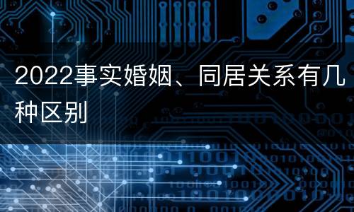 2022事实婚姻、同居关系有几种区别