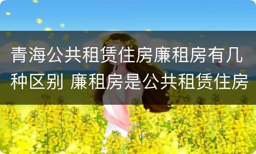青海公共租赁住房廉租房有几种区别 廉租房是公共租赁住房吗