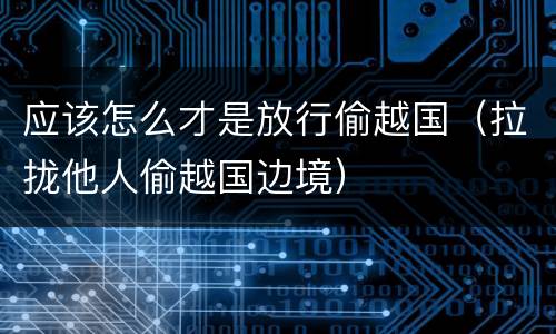 应该怎么才是放行偷越国（拉拢他人偷越国边境）