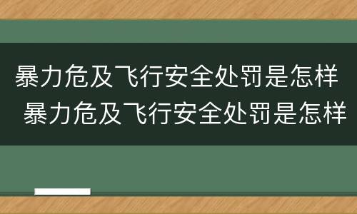 暴力危及飞行安全处罚是怎样 暴力危及飞行安全处罚是怎样执行的