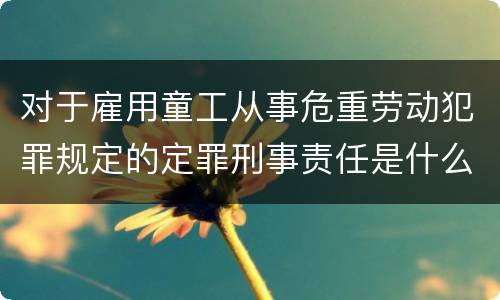 对于雇用童工从事危重劳动犯罪规定的定罪刑事责任是什么样的