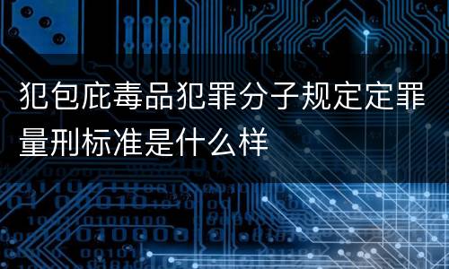 犯包庇毒品犯罪分子规定定罪量刑标准是什么样
