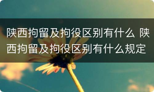 陕西拘留及拘役区别有什么 陕西拘留及拘役区别有什么规定