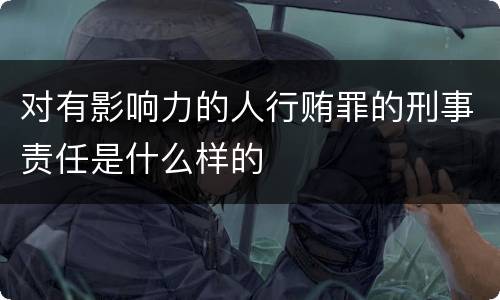 对有影响力的人行贿罪的刑事责任是什么样的