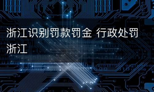 浙江识别罚款罚金 行政处罚 浙江