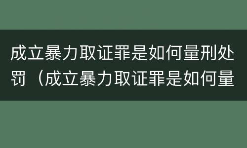 成立暴力取证罪是如何量刑处罚（成立暴力取证罪是如何量刑处罚的）