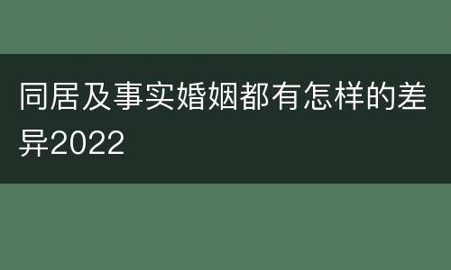 同居及事实婚姻都有怎样的差异2022