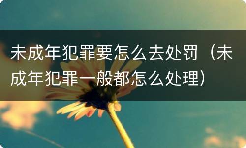 未成年犯罪要怎么去处罚（未成年犯罪一般都怎么处理）
