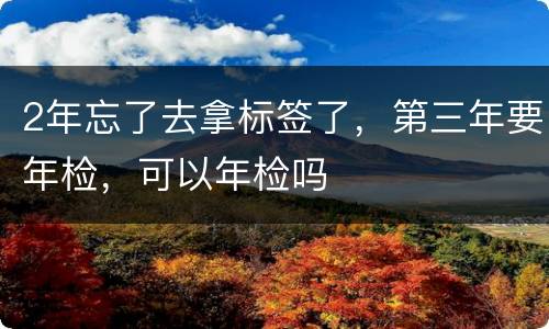 2年忘了去拿标签了，第三年要年检，可以年检吗