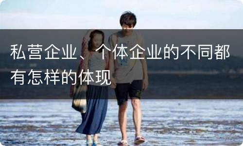 私营企业、个体企业的不同都有怎样的体现