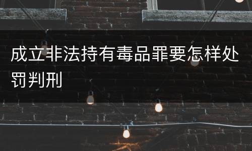 成立非法持有毒品罪要怎样处罚判刑