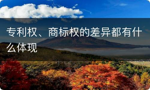 专利权、商标权的差异都有什么体现