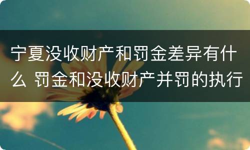 宁夏没收财产和罚金差异有什么 罚金和没收财产并罚的执行顺序
