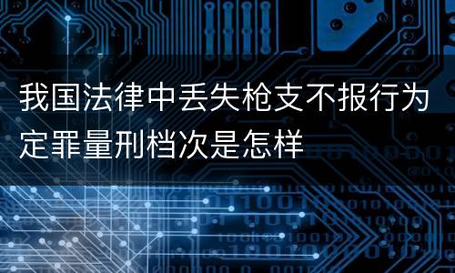我国法律中丢失枪支不报行为定罪量刑档次是怎样