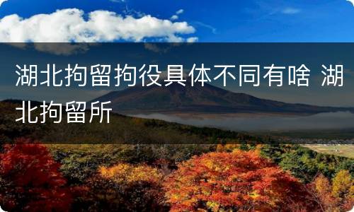 湖北拘留拘役具体不同有啥 湖北拘留所
