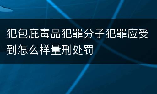 犯包庇毒品犯罪分子犯罪应受到怎么样量刑处罚