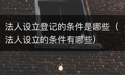 法人设立登记的条件是哪些（法人设立的条件有哪些）