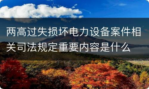 两高过失损坏电力设备案件相关司法规定重要内容是什么