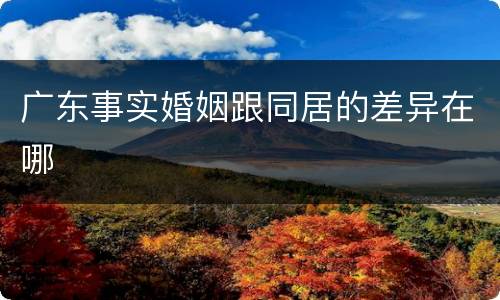 广东事实婚姻跟同居的差异在哪