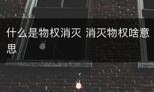 什么是物权消灭 消灭物权啥意思